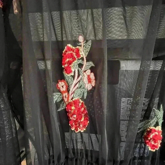 ~Zara~ Tulle Overlay Dress - Small - Picture 4 of 6